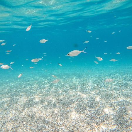 Complejo Turistico Los Bayiyos 阿瓜阿马加 外观 照片