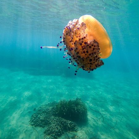 Complejo Turistico Los Bayiyos 阿瓜阿马加 外观 照片